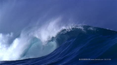 浪花视频(浪花视频素材)缩略图