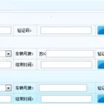 车辆违章查询,车辆违章查询直接输入车牌号缩略图