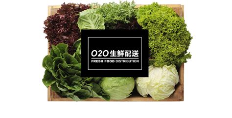 食品o2o,食品招商哪个平台好缩略图