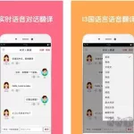 同声翻译app(同声翻译app免费)缩略图