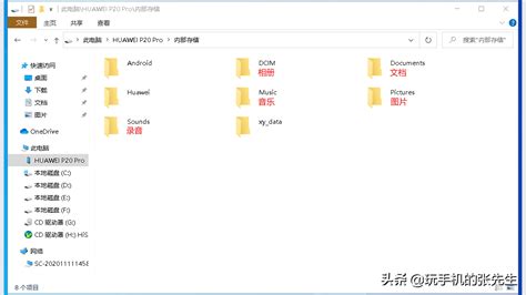 手机文件,手机文件管理在哪里缩略图