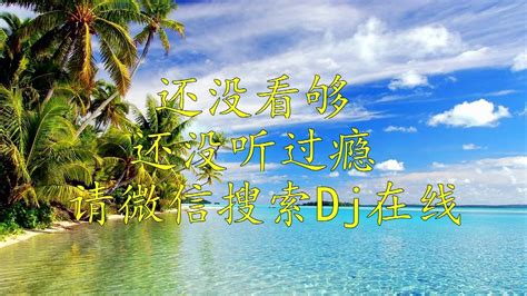 清风dj音乐(清风dj音乐网)缩略图