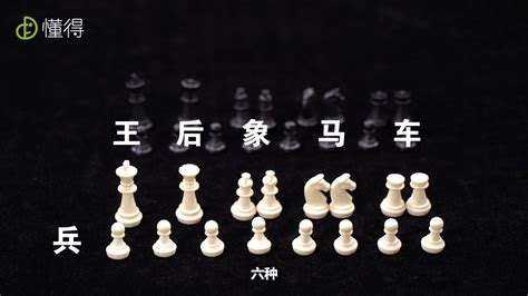国际象棋王的走法,国际象棋王的走法与吃子规则缩略图