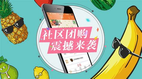 社区团购app(社区团购app排名)缩略图