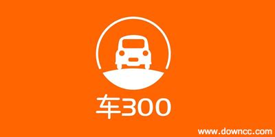 车300,车300在线查询车辆出险记录缩略图