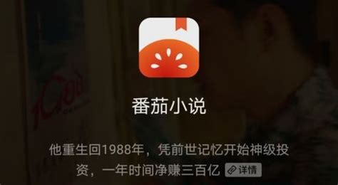 番茄小说APP(番茄小说app)缩略图