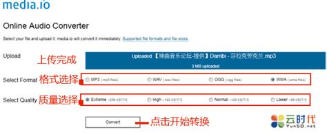 音乐格式在线转换,音乐格式在线转换免费网站缩略图