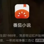 小说番茄,小说番茄畅听缩略图