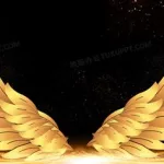 金色翅膀(金色翅膀的天使)缩略图
