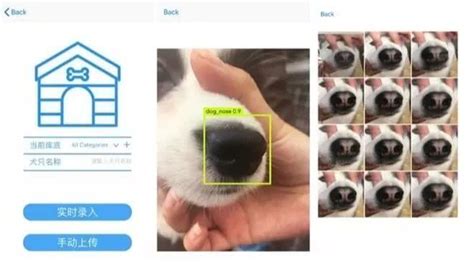 识别狗狗品种软件,识别狗狗品种软件下载缩略图
