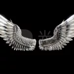 天使翅膀(天使的翅膀)缩略图