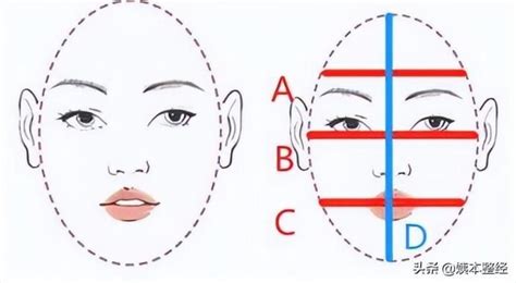 扫一扫脸型配眉形,扫一扫脸型配眉形的软件缩略图