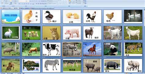 宝宝认动物(宝宝认动物图片大全大图)缩略图