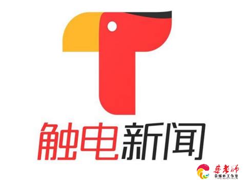 触电新闻app(触电新闻app官方下载)缩略图