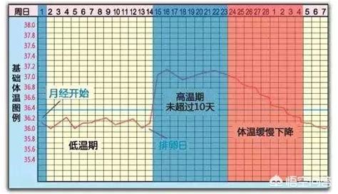 月经计算器(月经计算器在线计算)缩略图