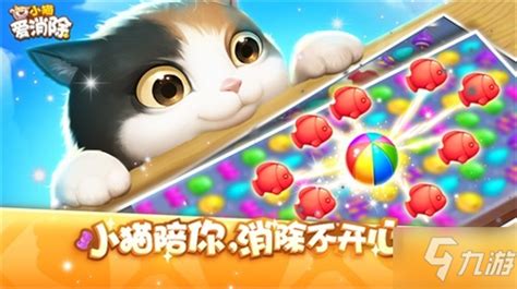 小猫游戏(小猫游戏抓鱼)缩略图