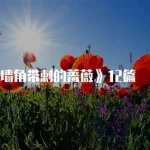 带刺的蔷薇,带刺的蔷薇歌曲缩略图