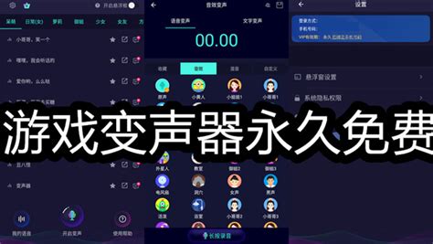 免费游戏变声器(免费游戏变声器软件)缩略图