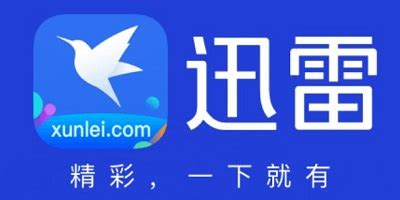 迅雷旧版本(迅雷旧版本下载大全)缩略图