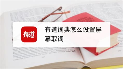 有道词典翻译(有道词典翻译官下载)缩略图